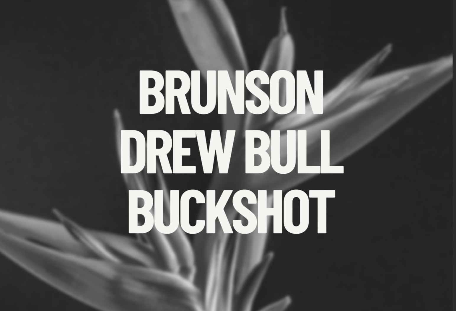 Brunson, Drew Bull & Buckshot