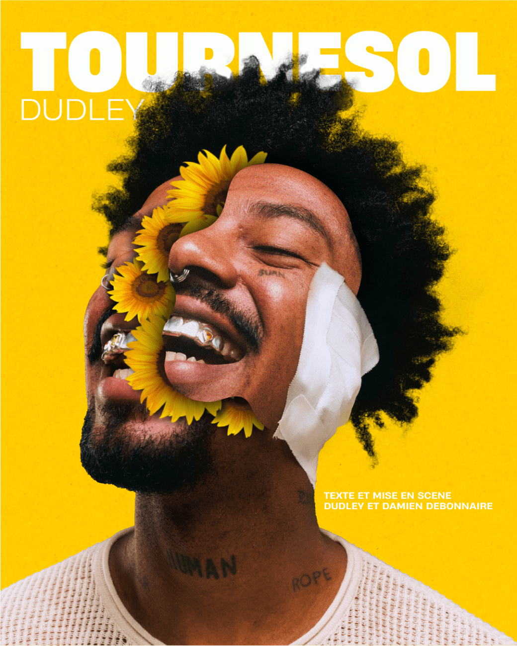 Dudley Dans Tournesol