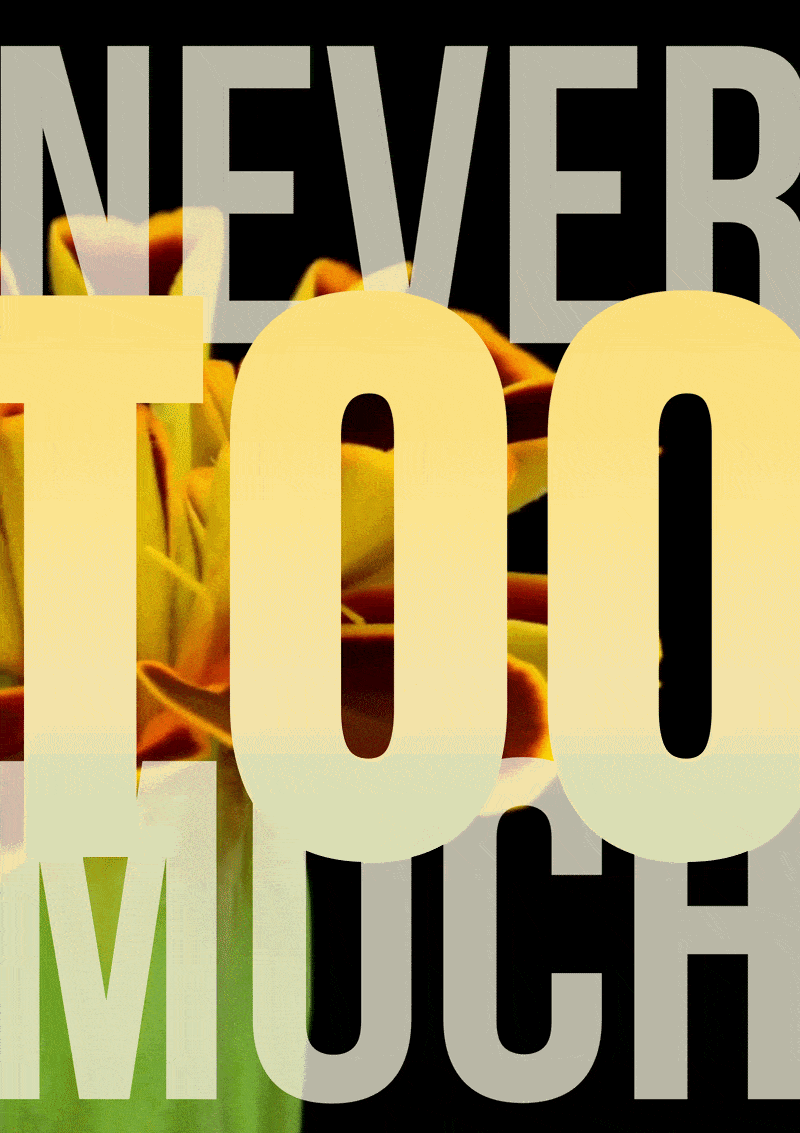 Never Too Much 005