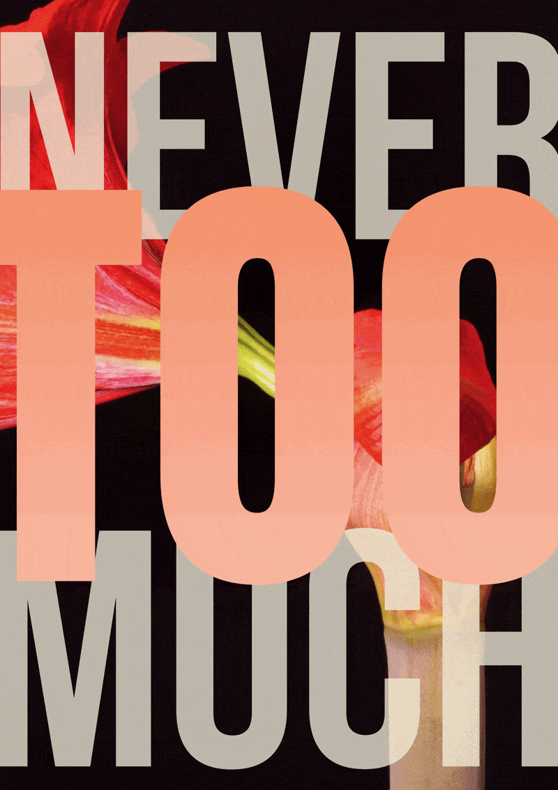 Never Too Much 002