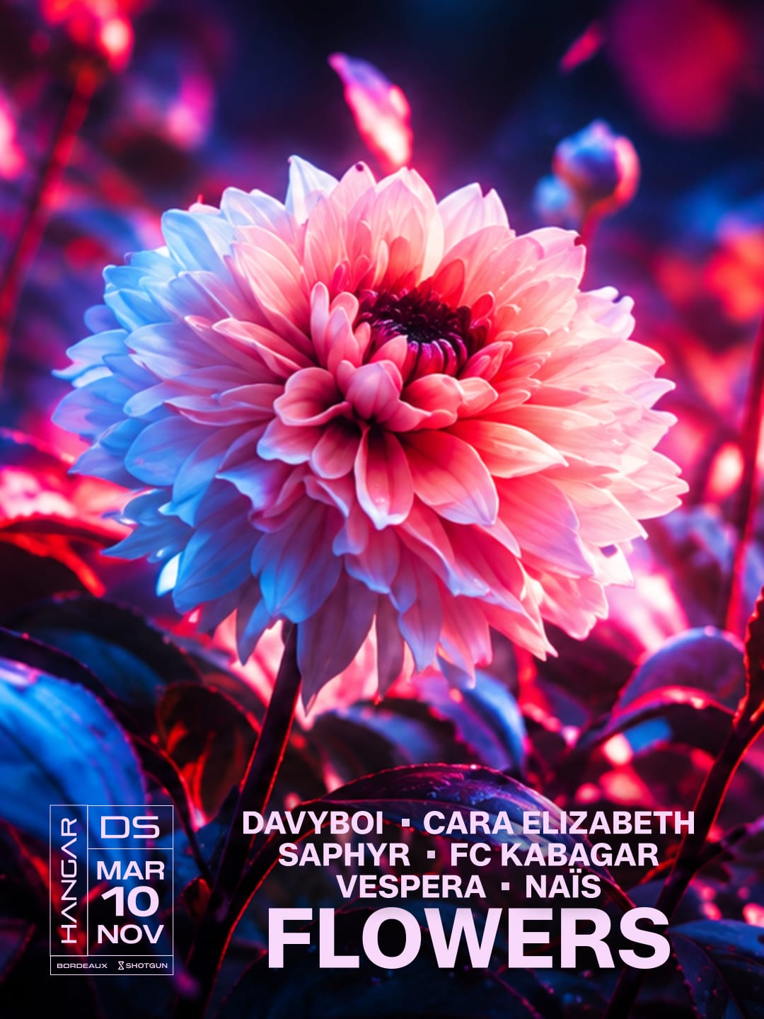 Flowers // Davyboi - Cara Elizabeth - Saphyr - Fc Kabagar