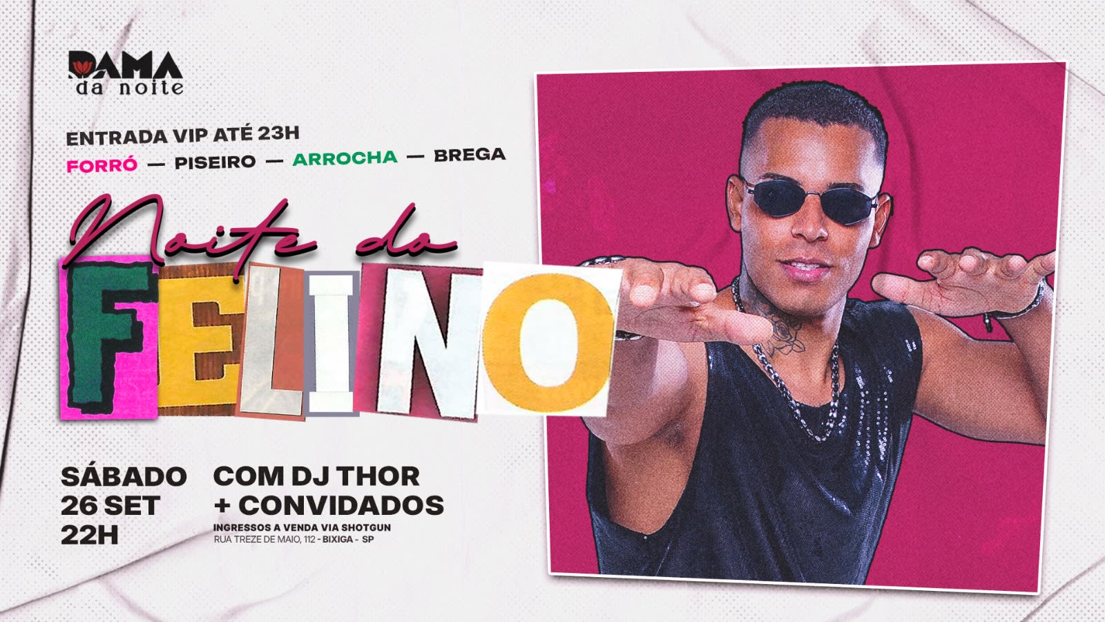 Noite Do Felino