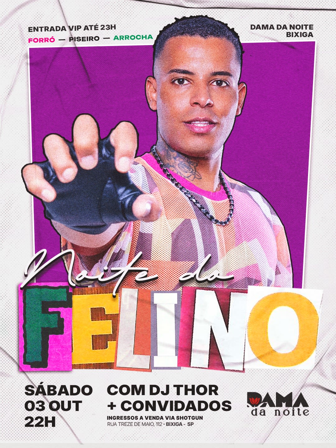 Noite Do Felino