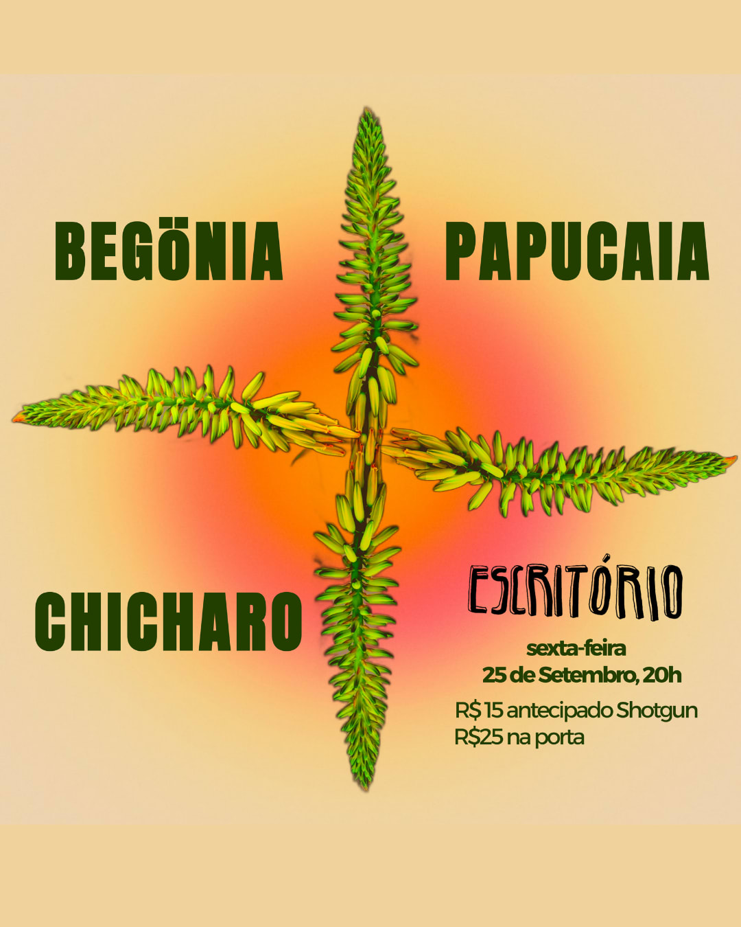 Begönia • Papucaia • Chicharo No Escritório