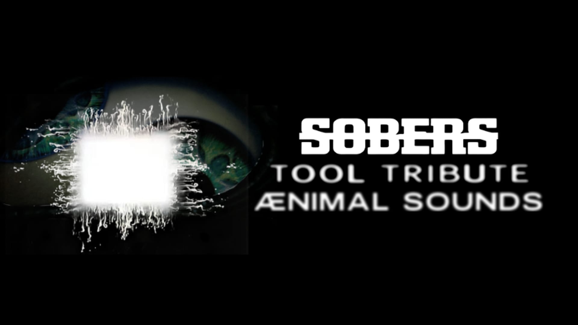 Sobers Tool Tribute Apresenta: Ænimal Sounds