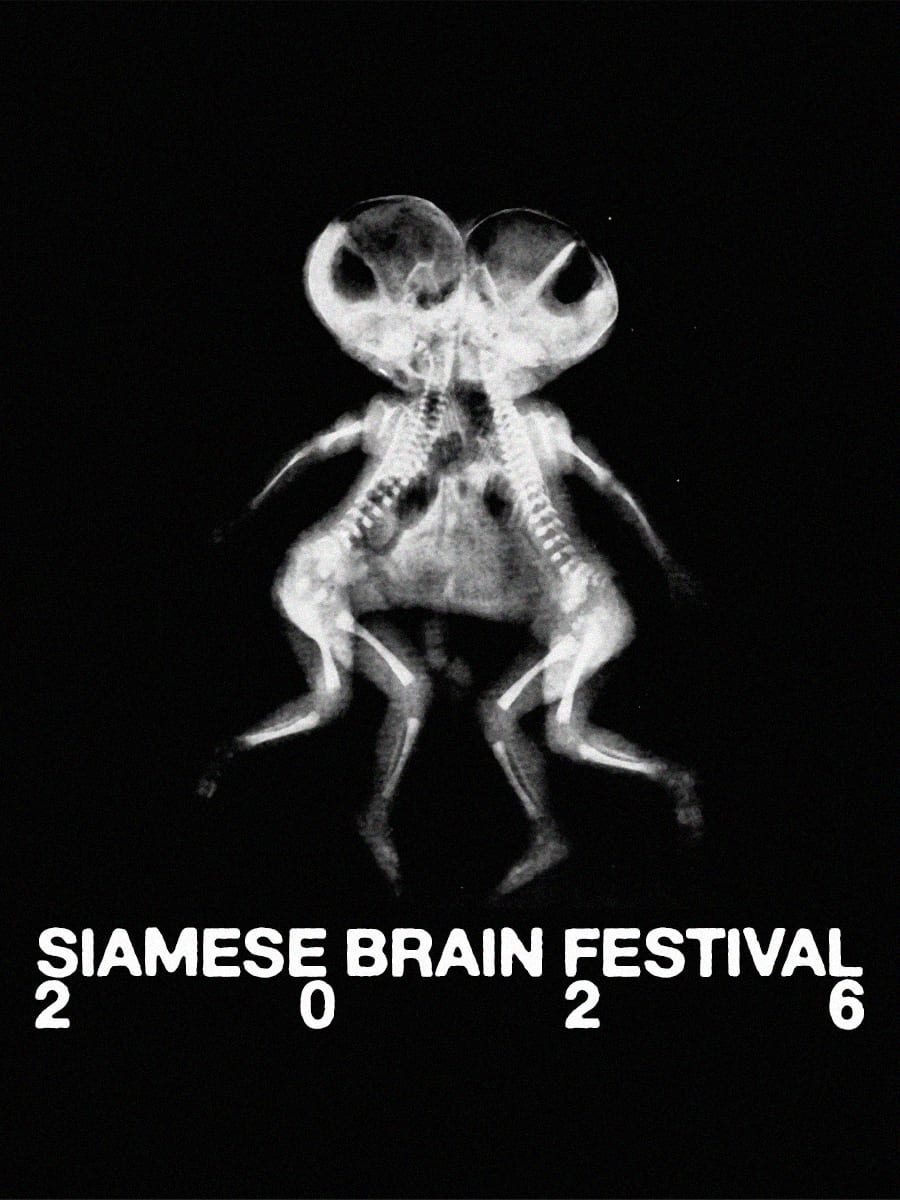 Siamese Brain Festival