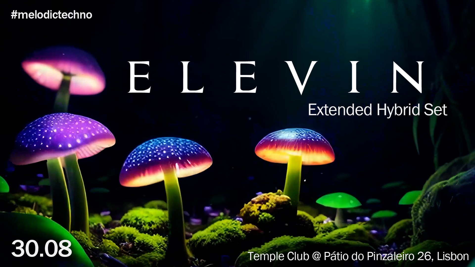 Elevin Melodic Techno Extended Hybrid Set