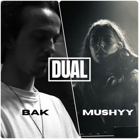 Dual 2