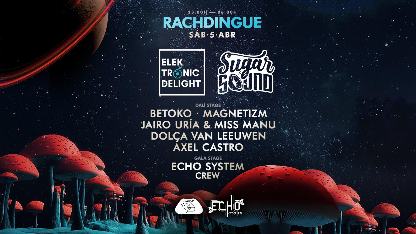 Sugar Sound &Elektronic Delight At Rachdingue