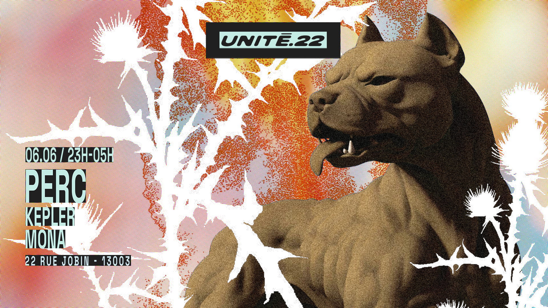 Unité.22 : Perc, Kepler, Mona