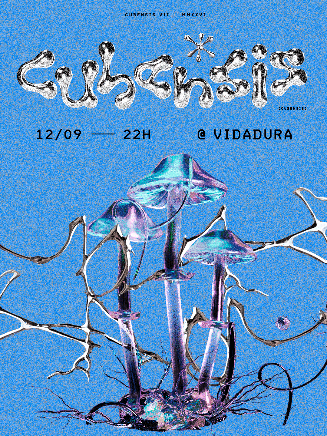 Cubensis: 2 Anos