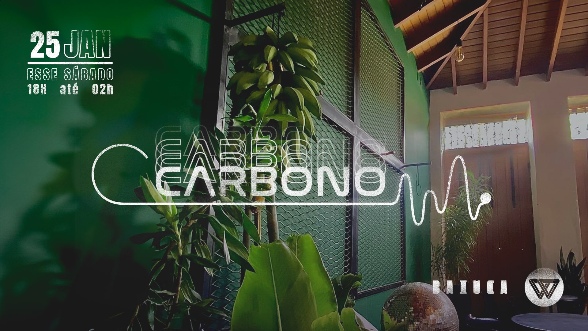 Carbono #1