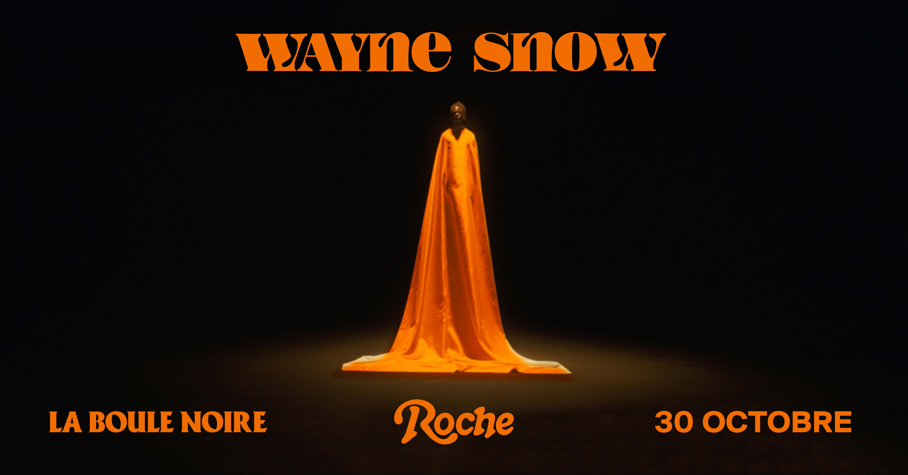Wayne Snow Live @Laboulenoire