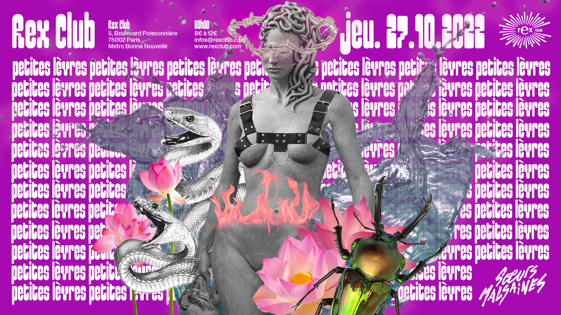 Petites Lèvres, Soeurs Malsaines Célèbre Désire & More