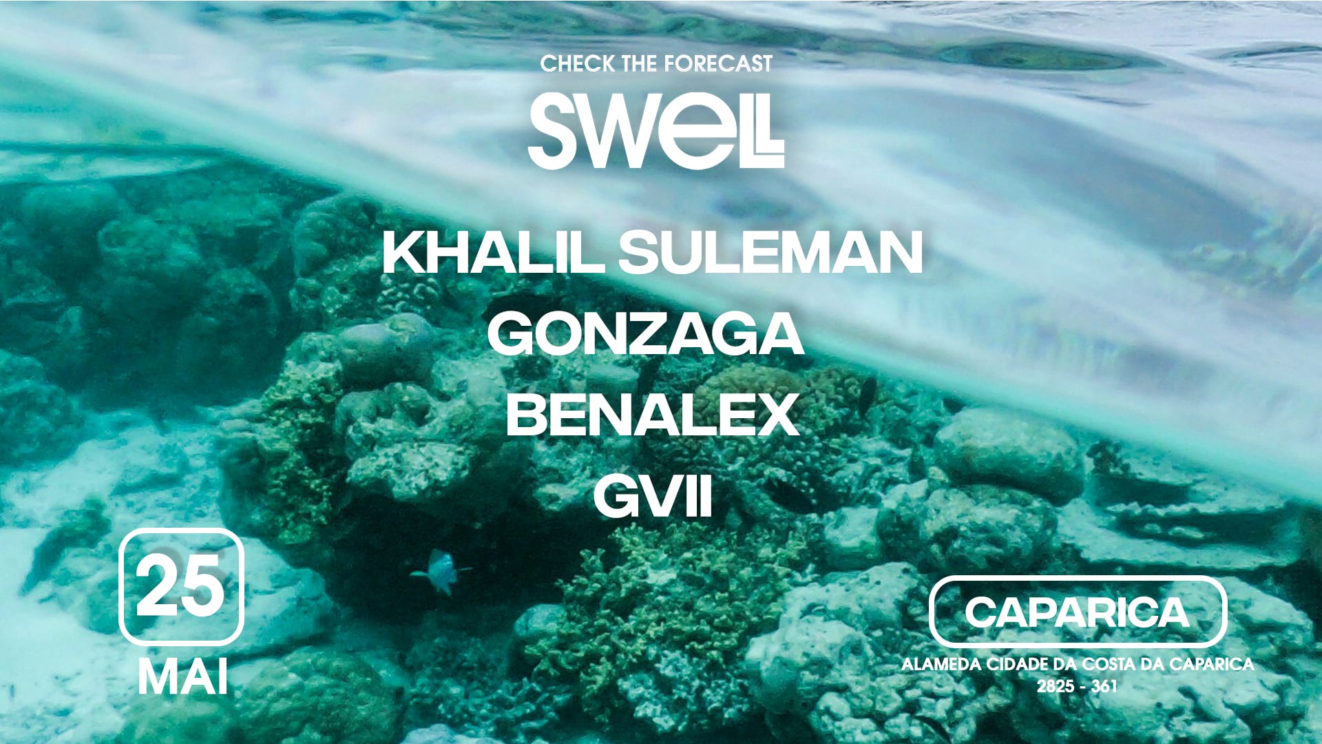 Swell At The Park