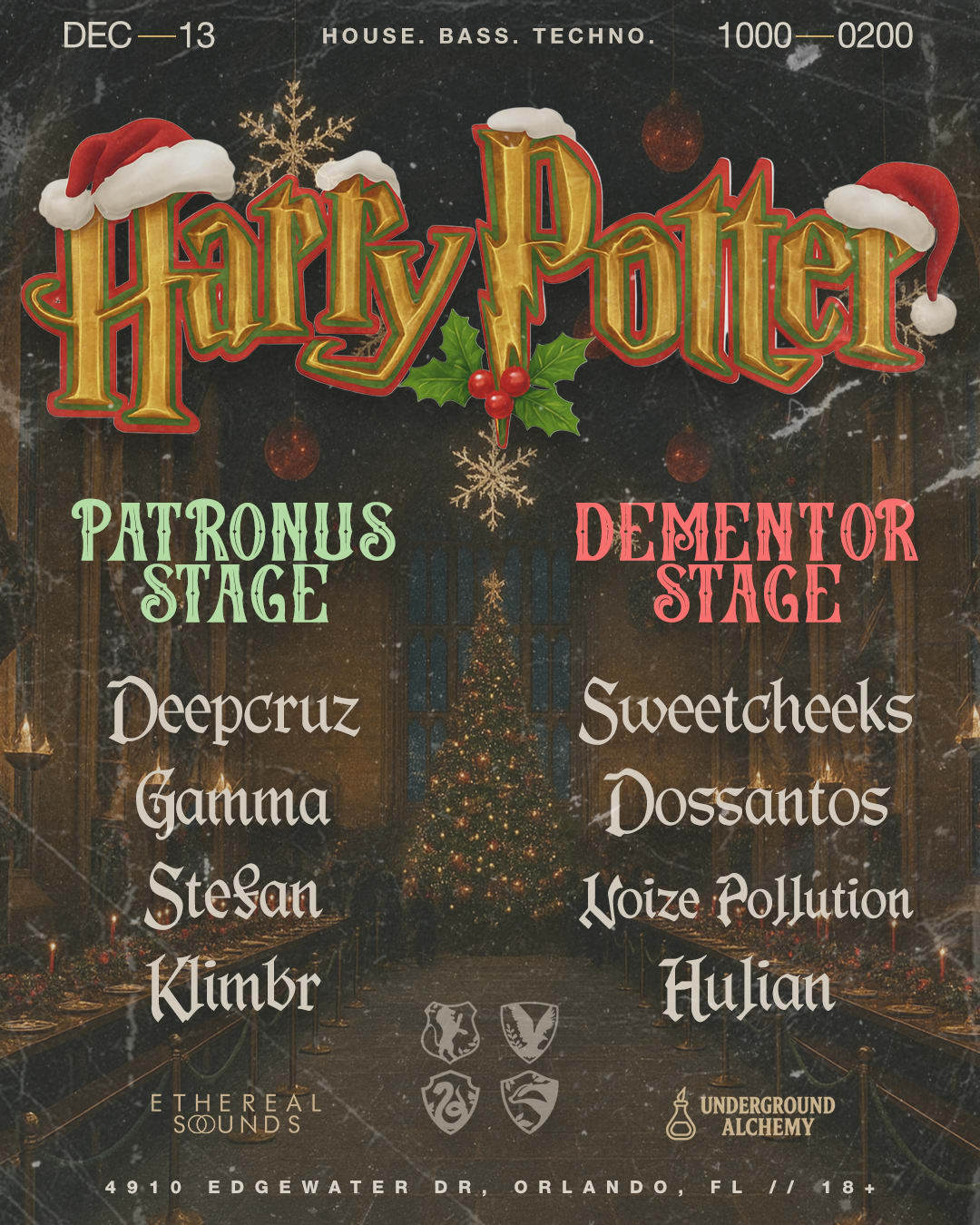 Harry Potter Rave