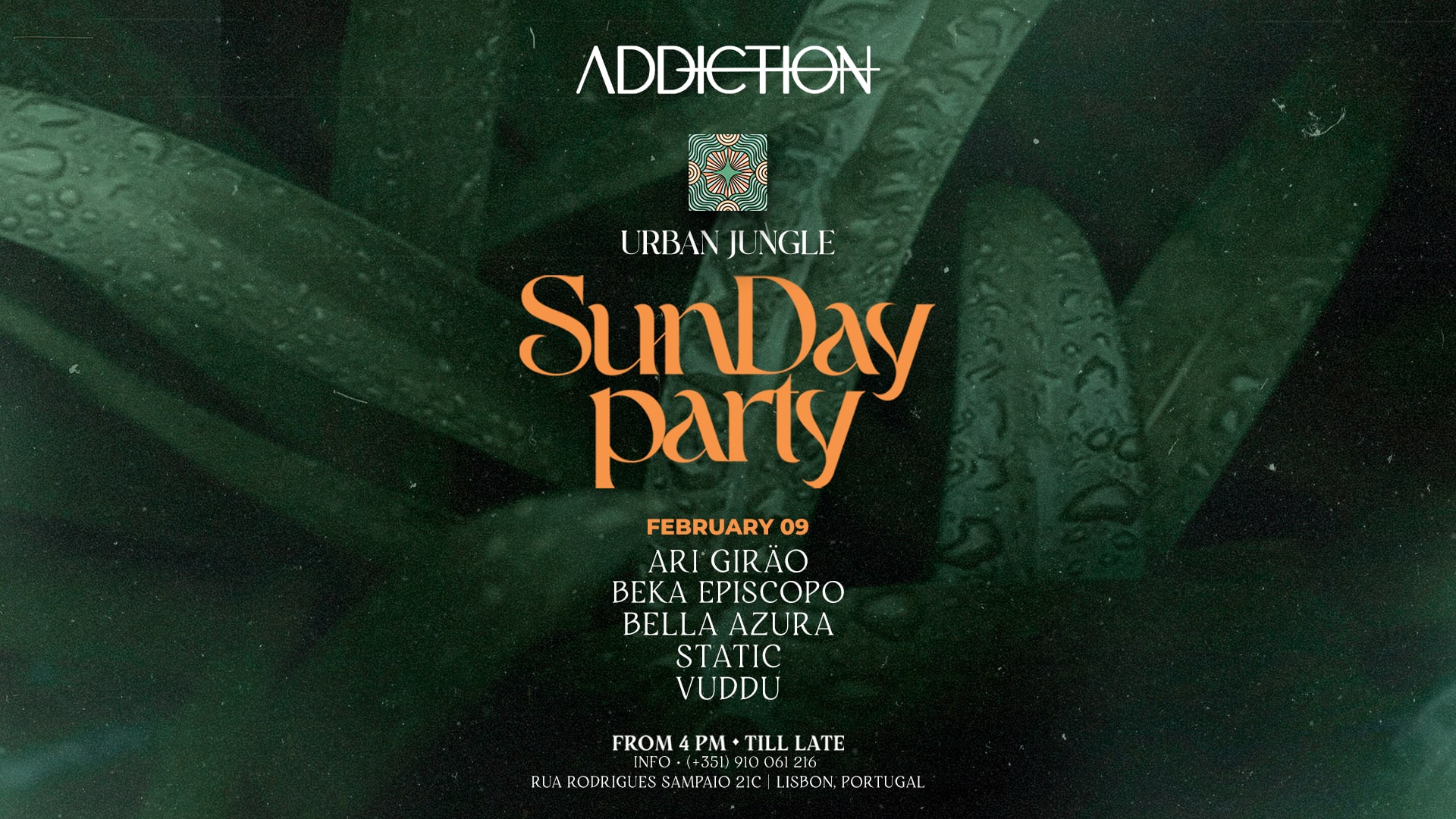Urban Jungle | Sunset • Addiction