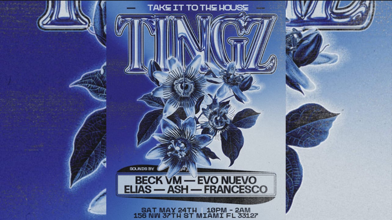 Tingz : Take It To The House