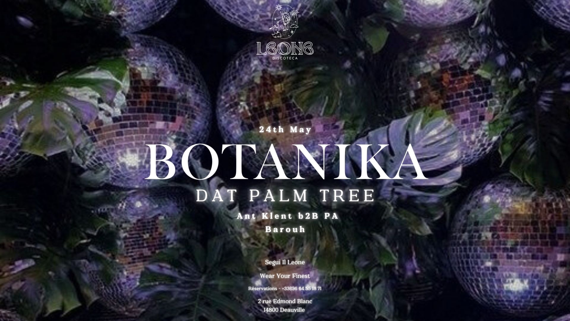 Botanika Invite Dat Palm Tree - Leone Discoteca