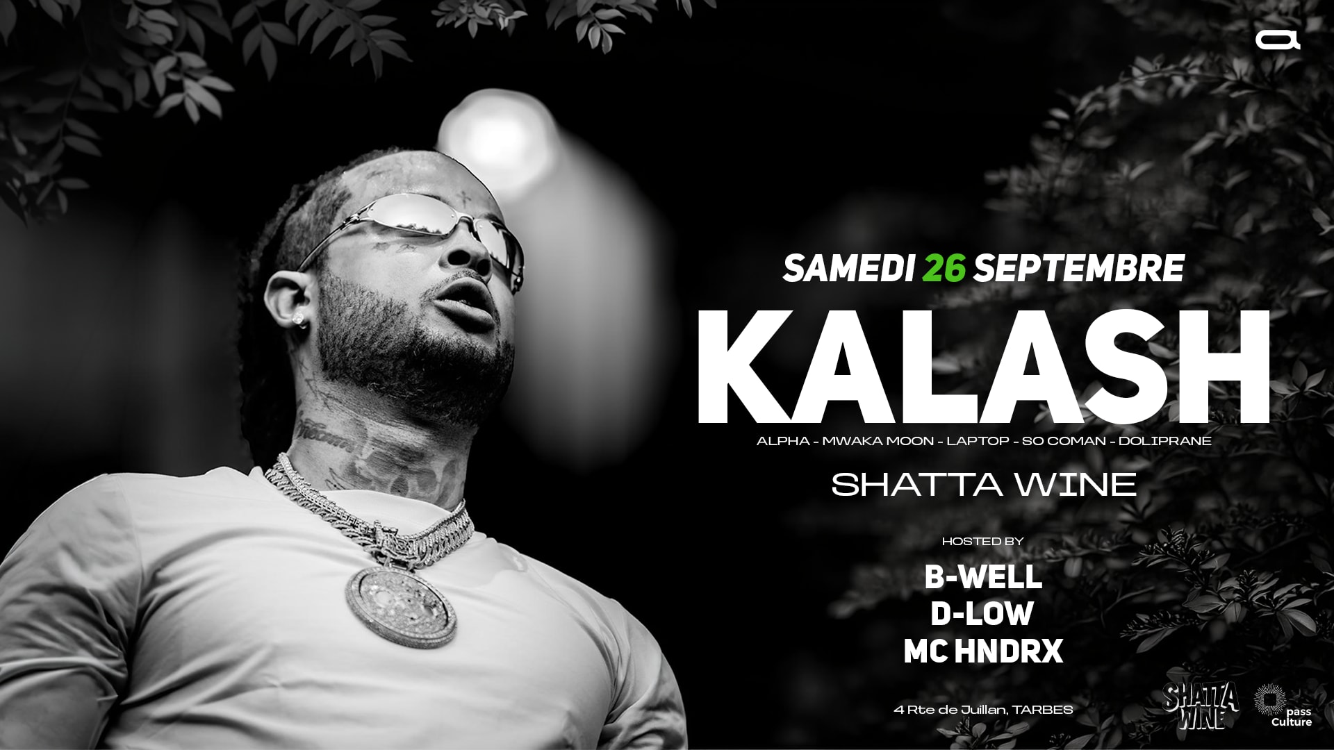 Shatta Wine × Kalash