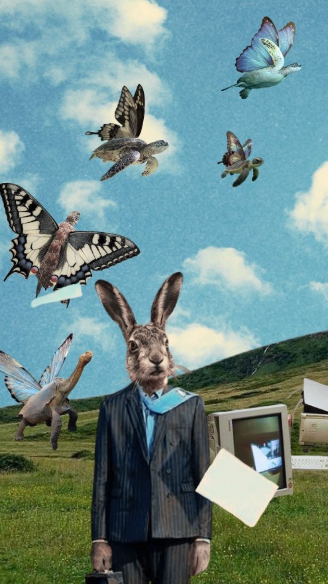 La Nièvre Et La Tortue Festival - 22/23/24/25 Mai 2026