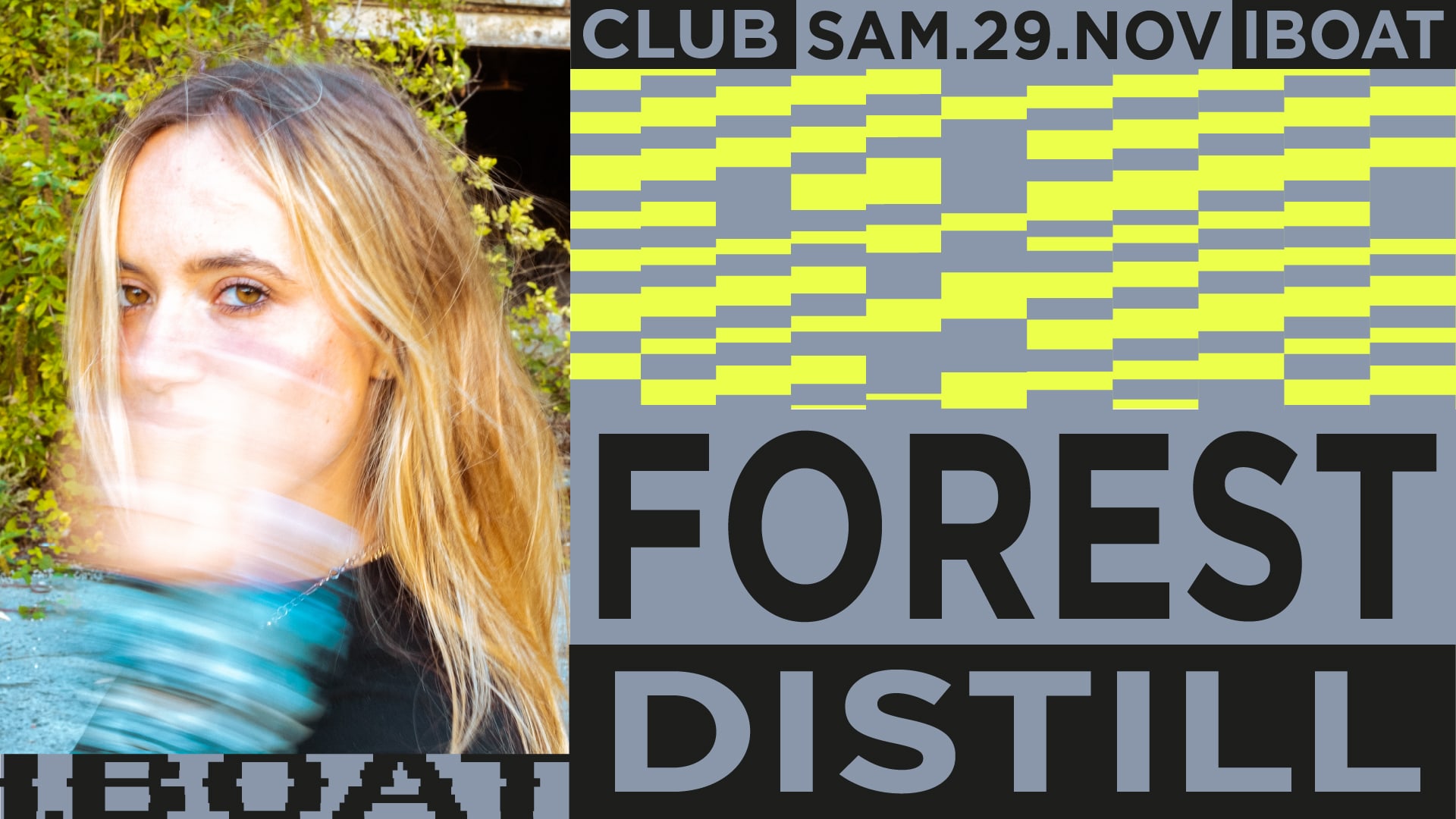 Forest + Distill