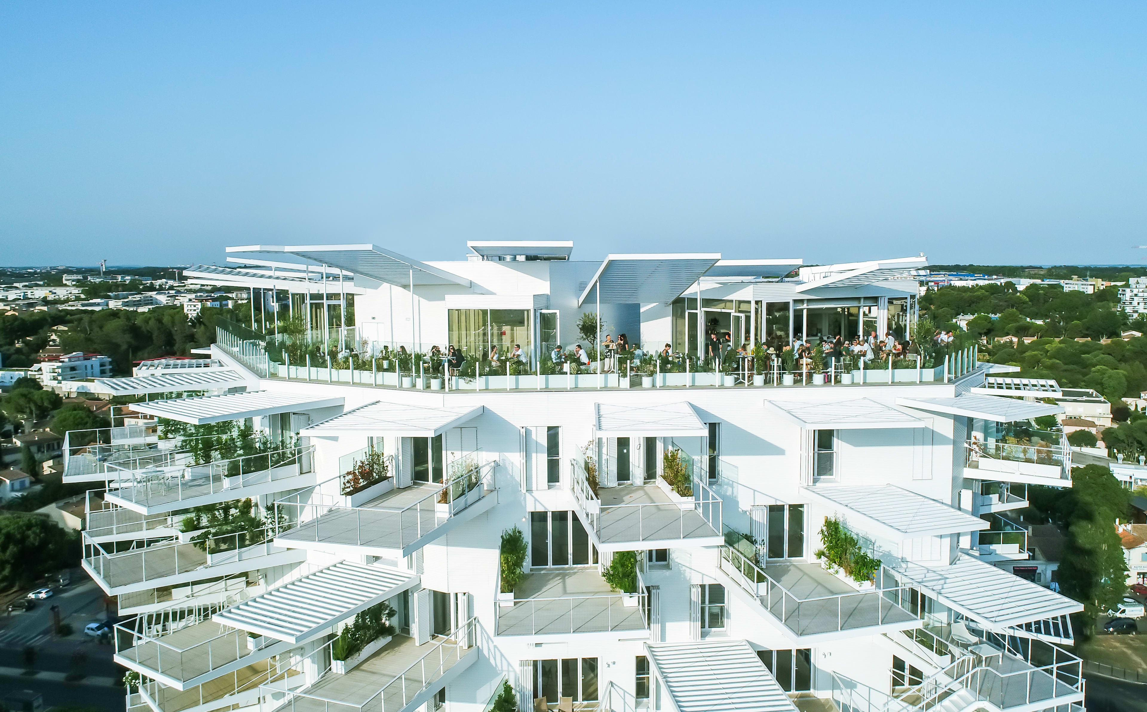 L'Arbre Rooftop