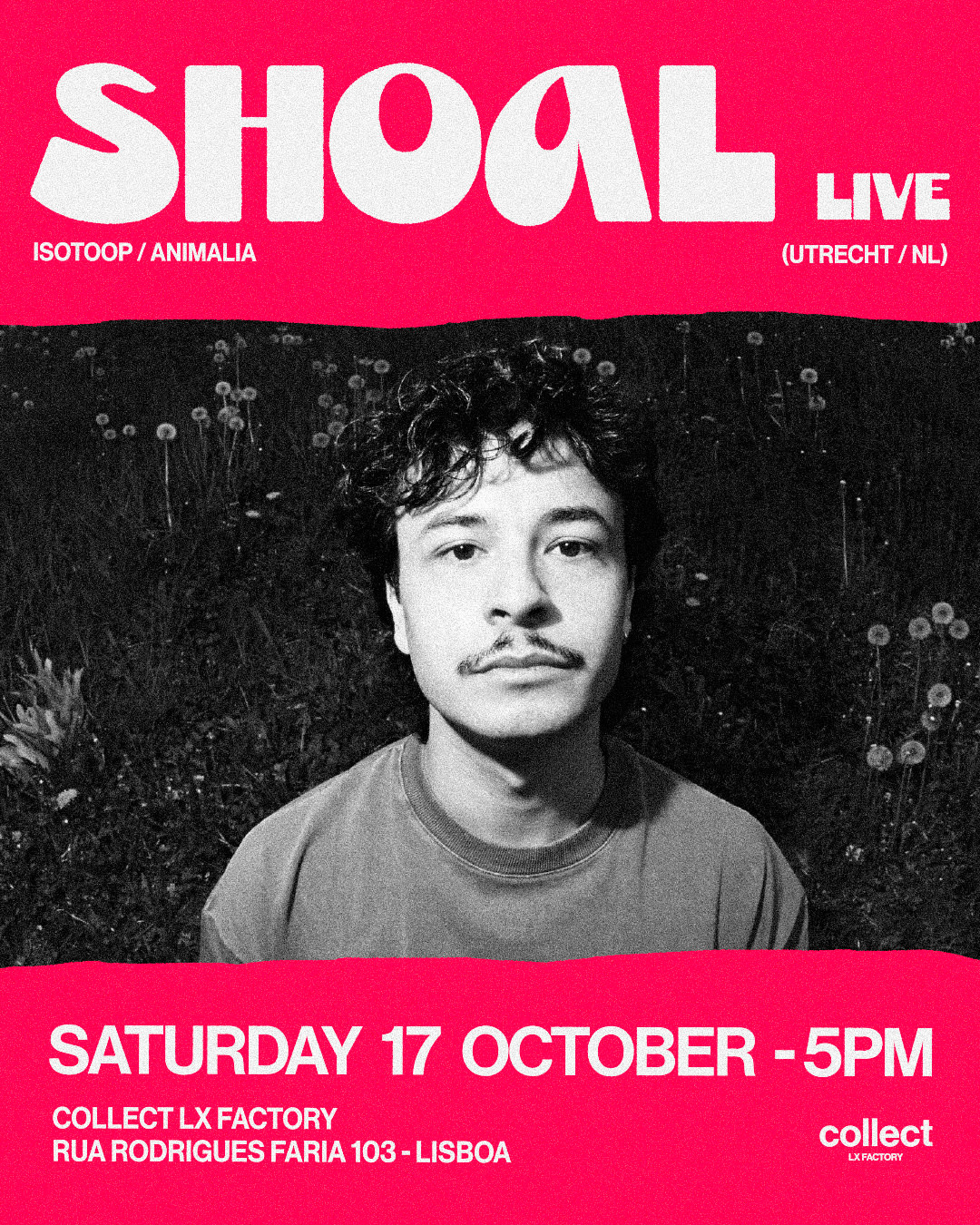 Collect LX Factory Presents Shoal (Live)