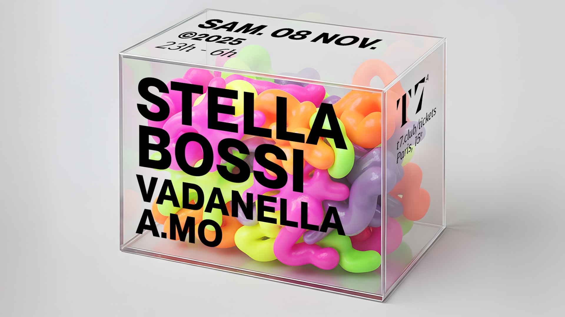 T7 : Stella Bossi