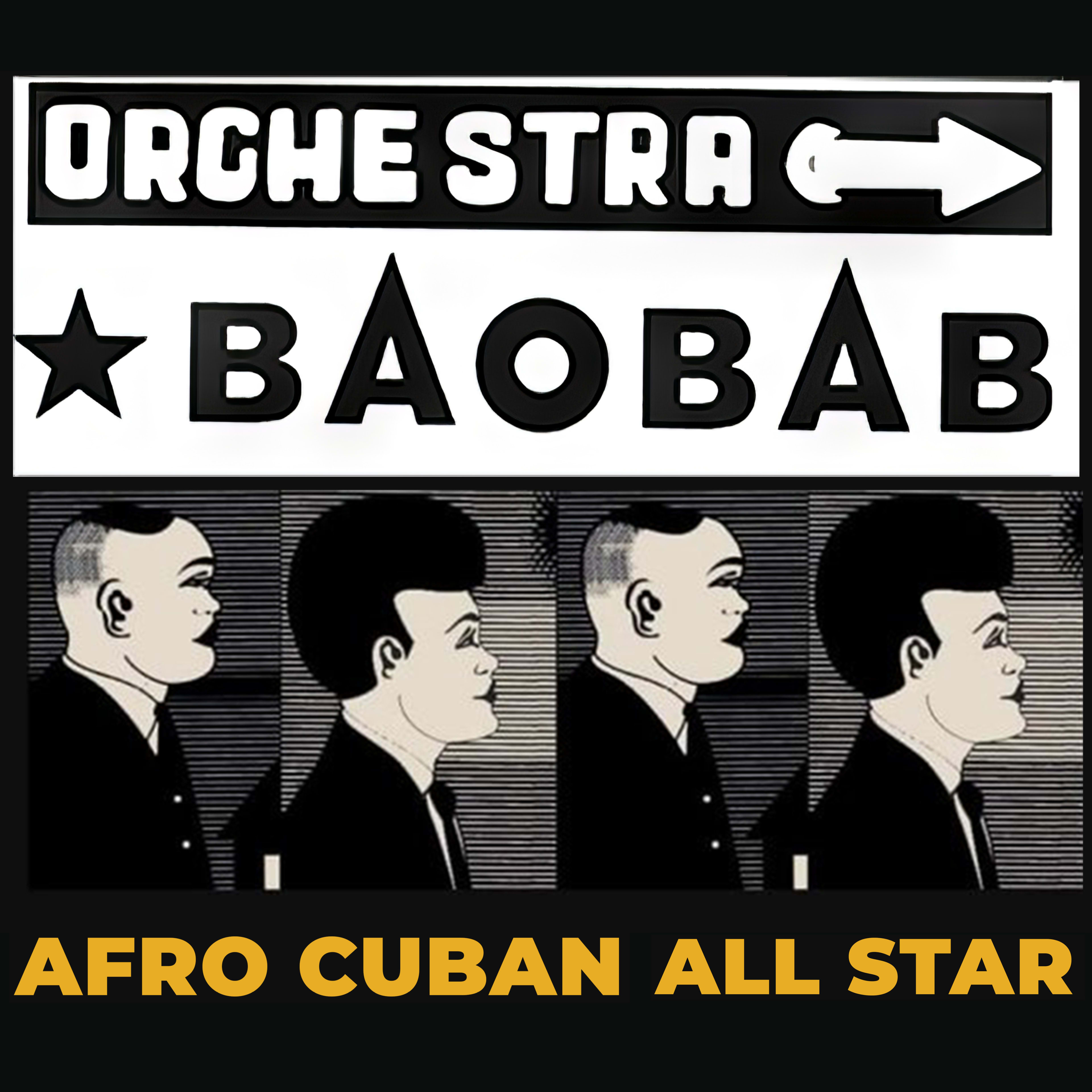 Orchestra Baobab