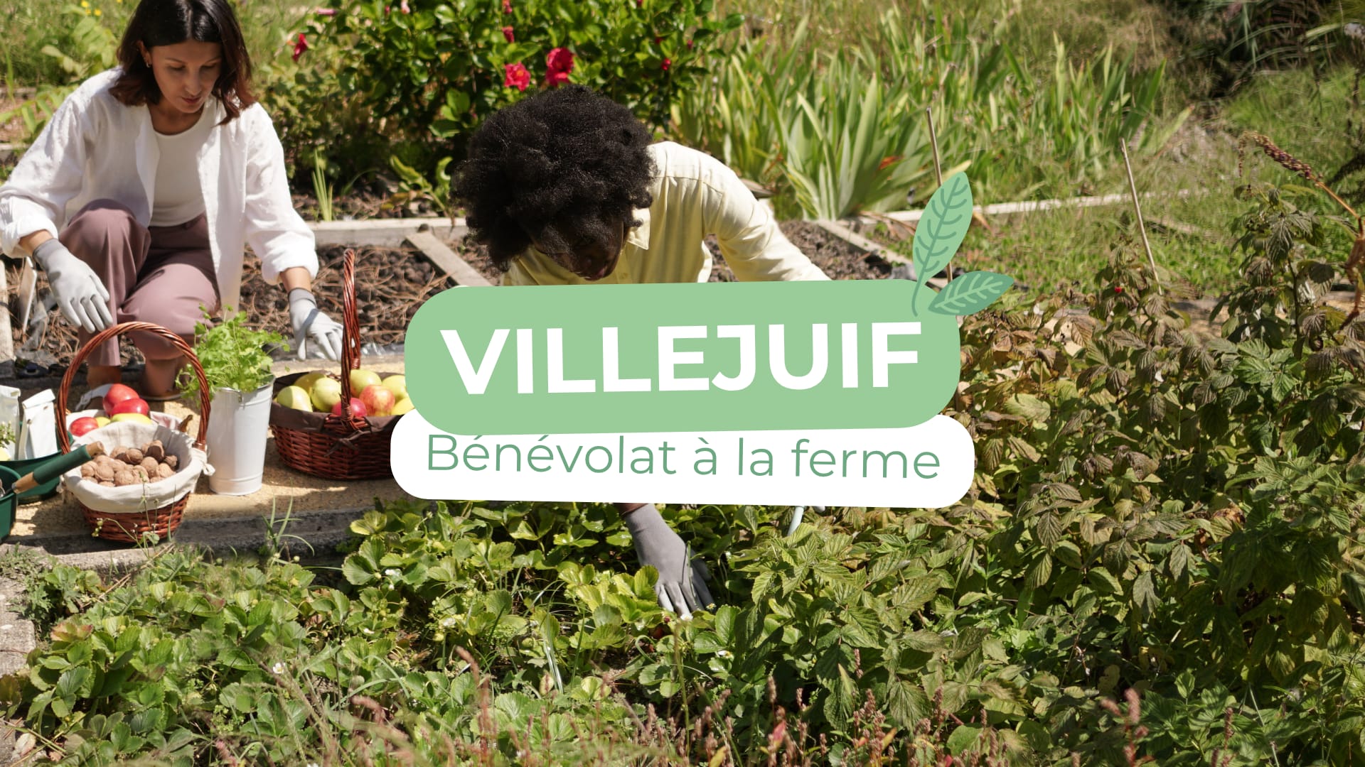 Bénévolat Villejuif 2026