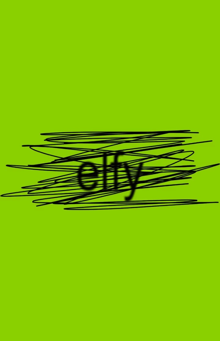 DJ ELFY