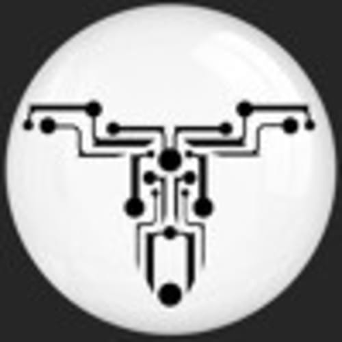 Transubtil Records