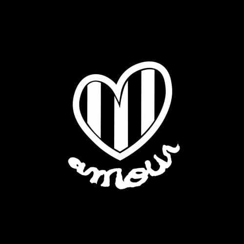 Amour Social Club