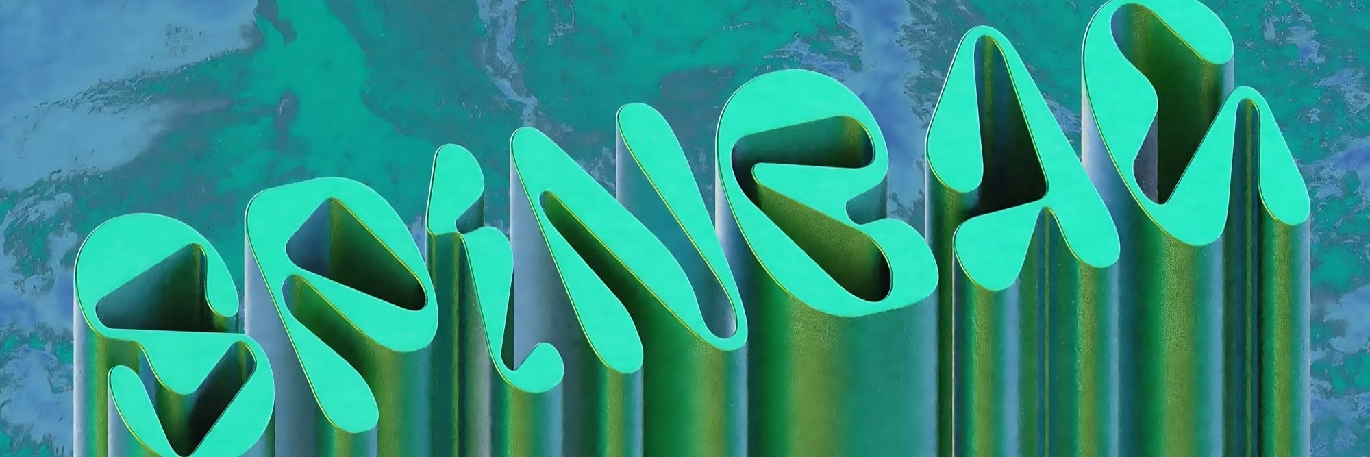 Spinbag