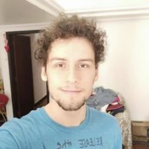 Gustavo Ribas Avancini