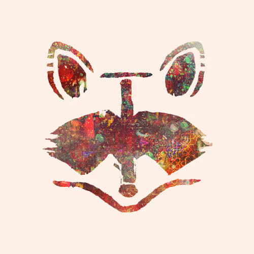 Rakoon