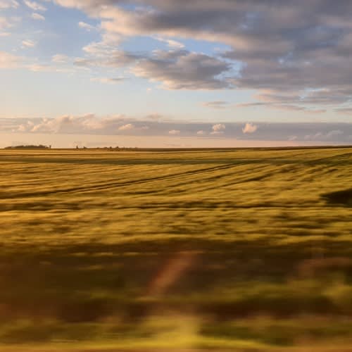 Horizon
