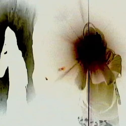 ZayPhoria
