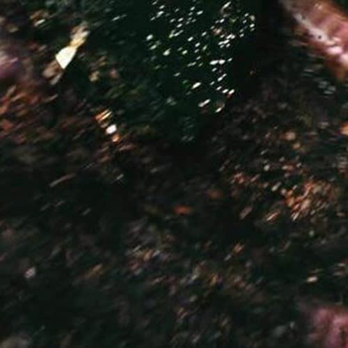 WURM