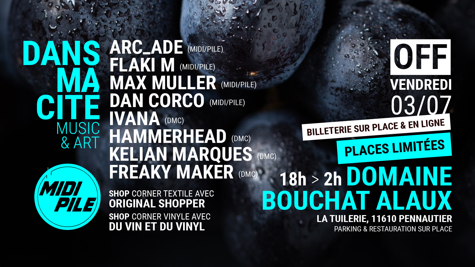 FESTIVAL DANS MA CITE