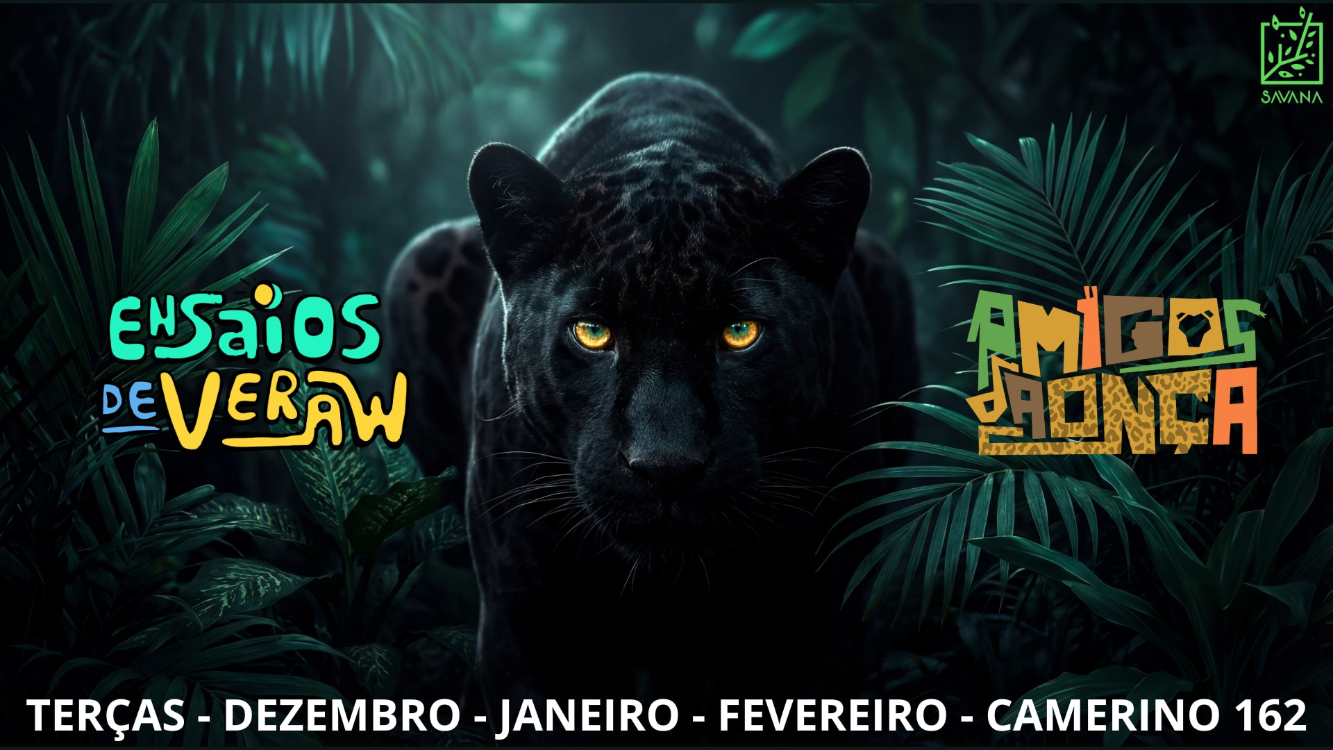 Ensaios De Verão Na Casa Savana
