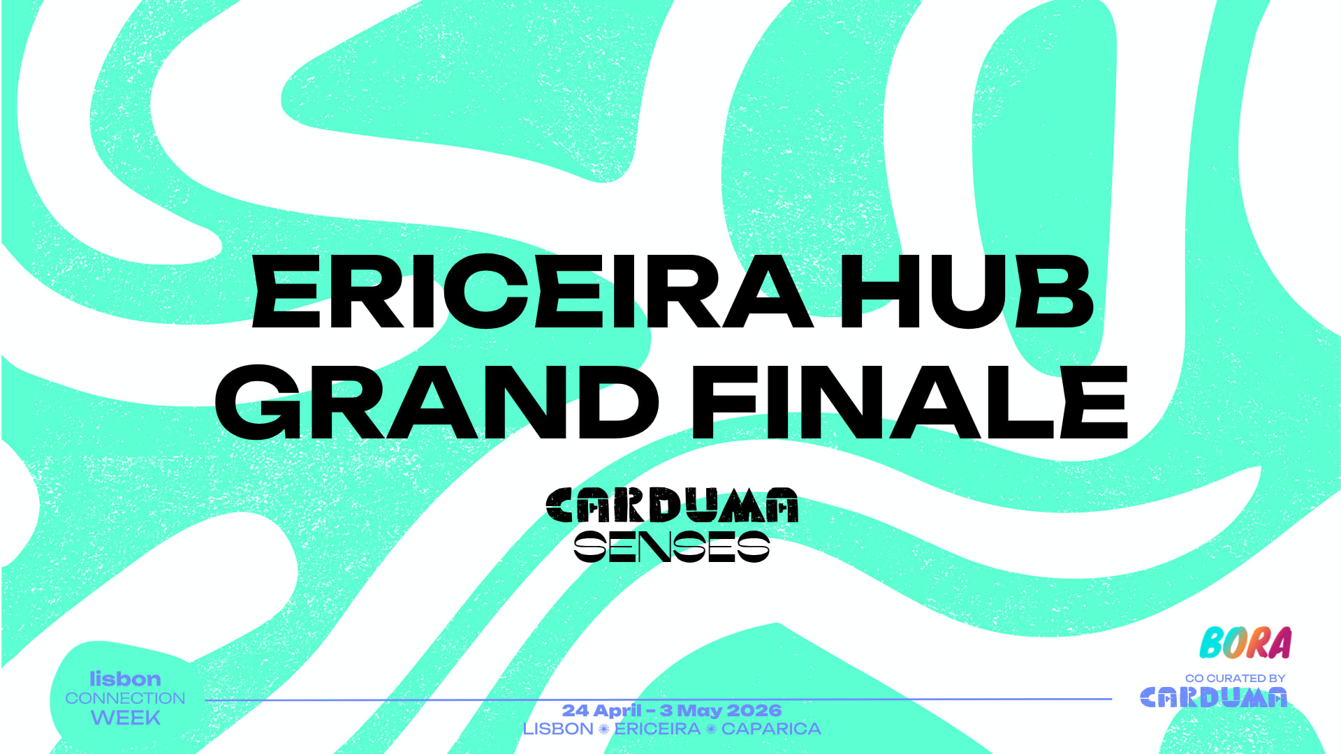 Carduma - Ericeira Hub Grand Finale