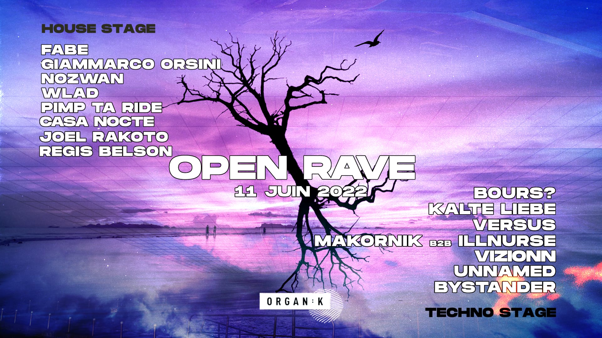 Organïk : Open Rave