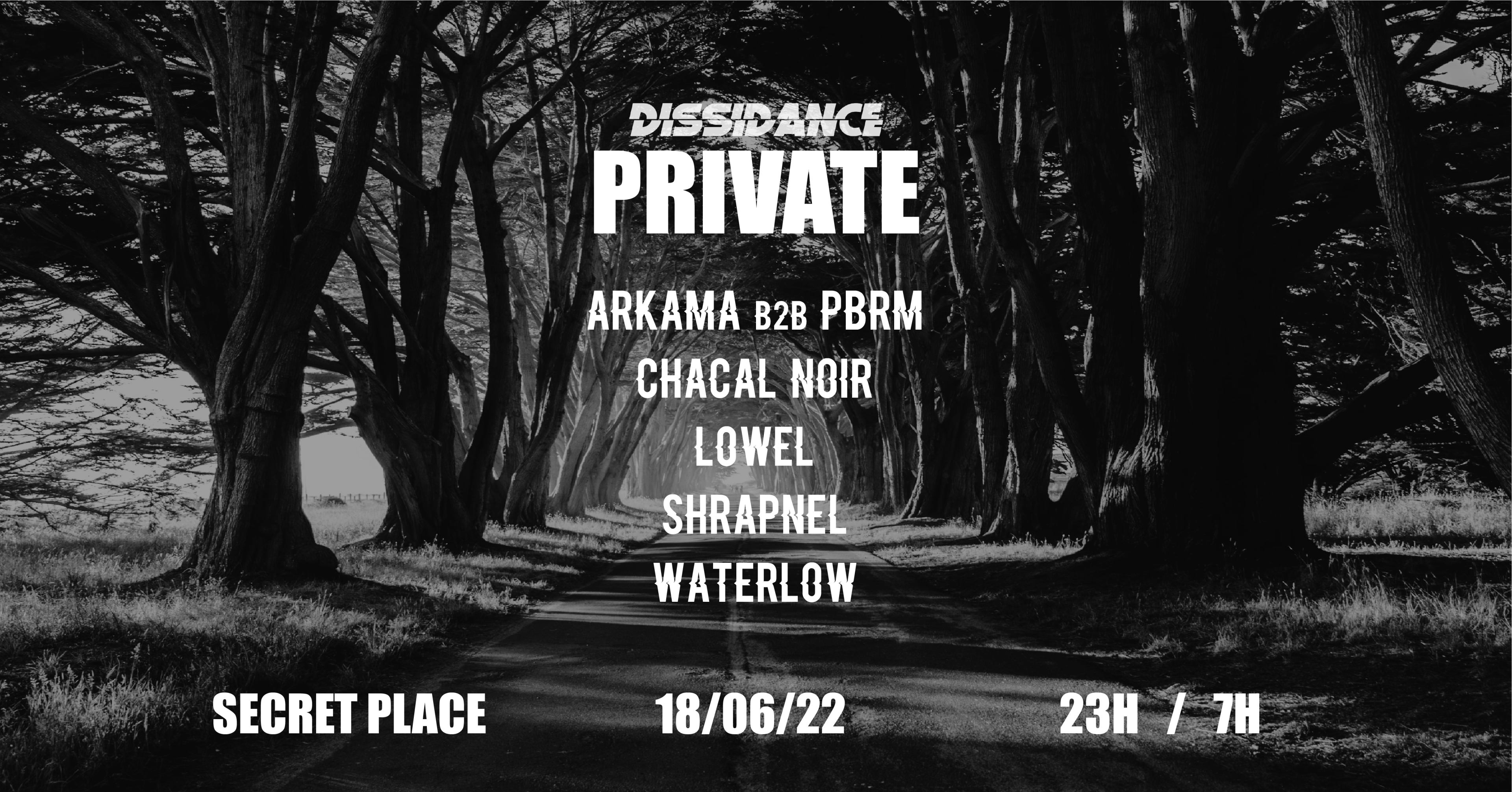 Dissidance \\ Private #2