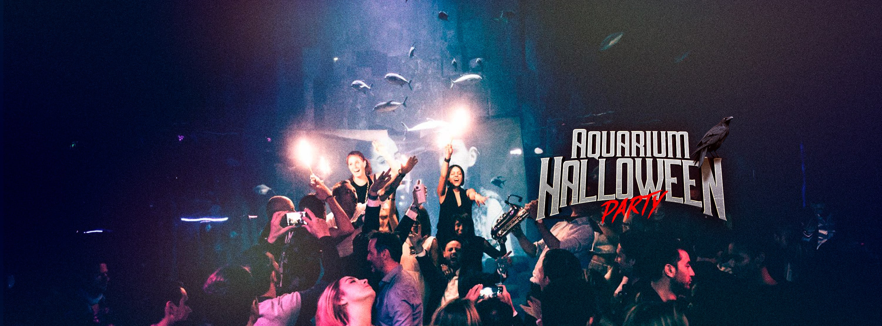 Aquarium Halloween Party : Mardi 31 Oct