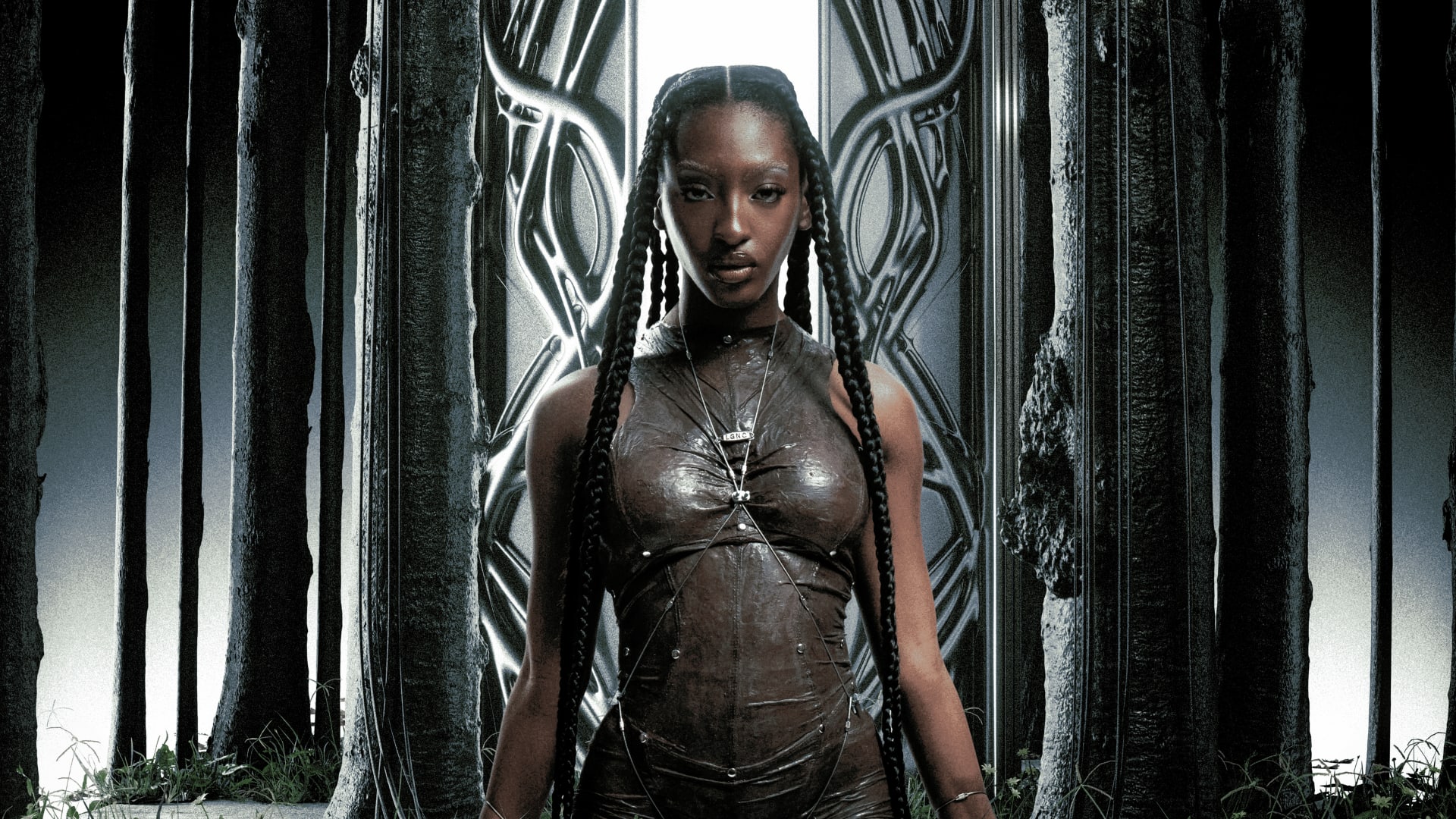 Ebony - Rennes