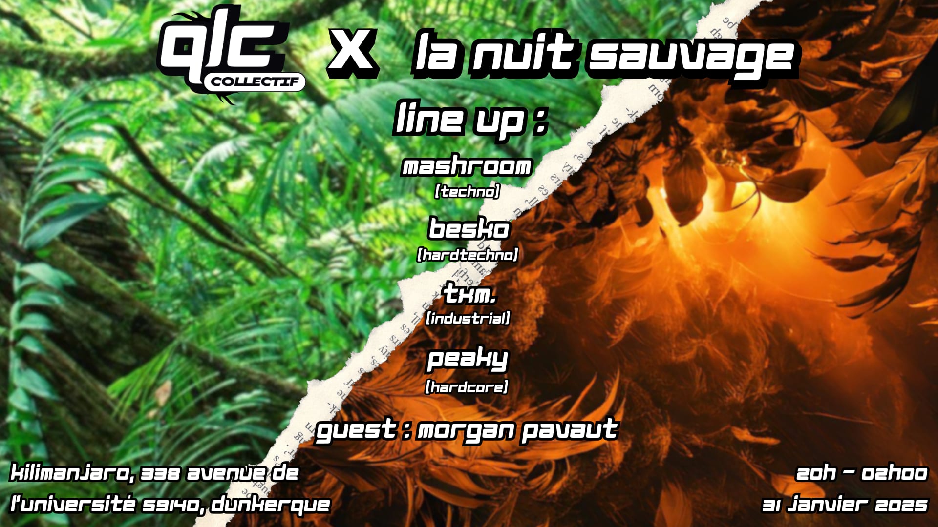 Qlc Collectif X La Nuit Sauvage