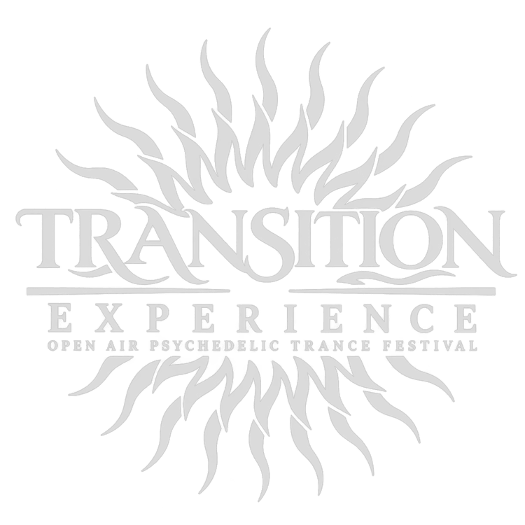 TRANSITION EXPERIENCE - SPAIN