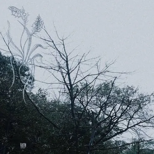 Sadness